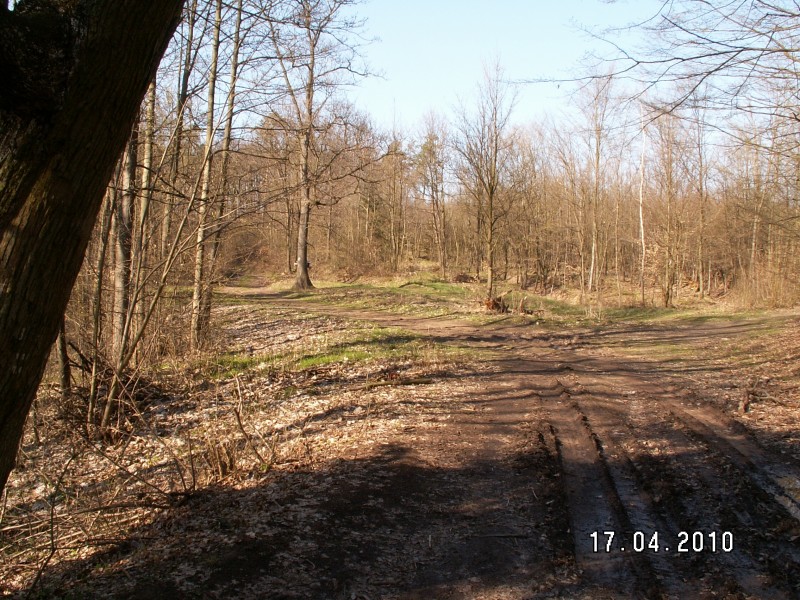  A ještě pohled přes přírodní závoru na rozcestí