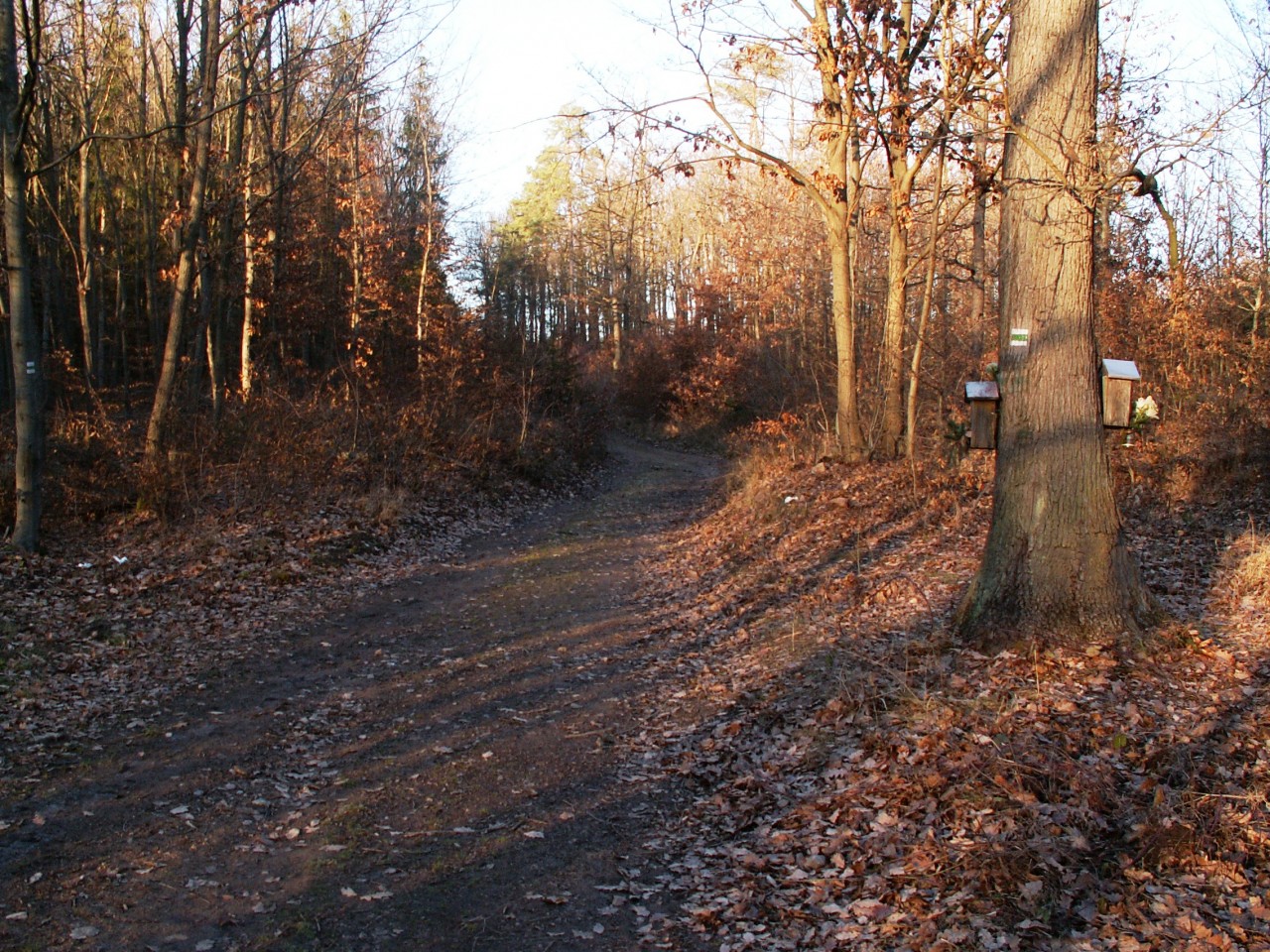  A jsme u svatých obrázků