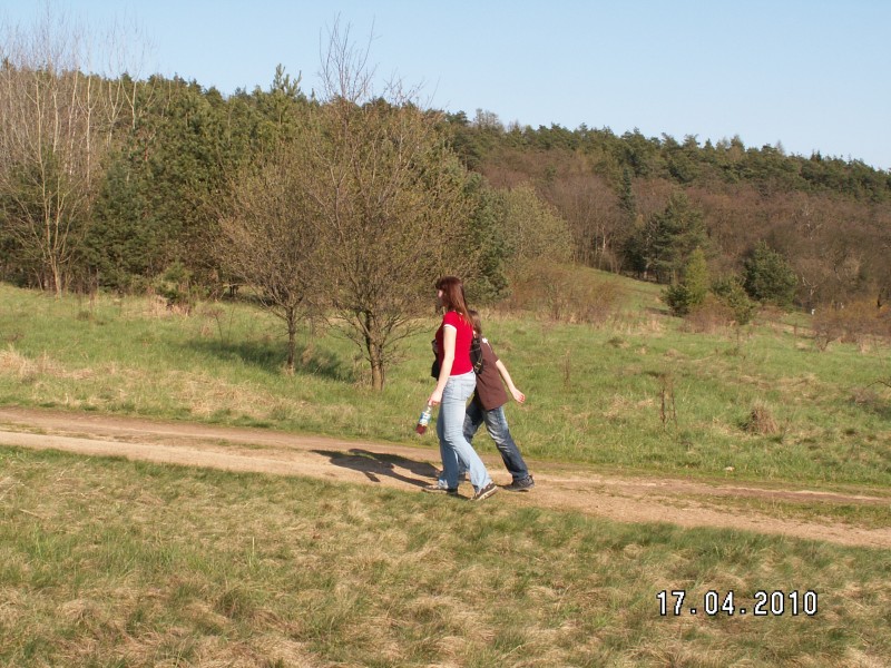 Cesta na Pasekách - jdeme na sever, stoupáme a stoupáme k rozcestí a musíme dojít k Čertovým kamenům, při svižné chůzi jsme 9 minut od zastávky Lelekovice - náves